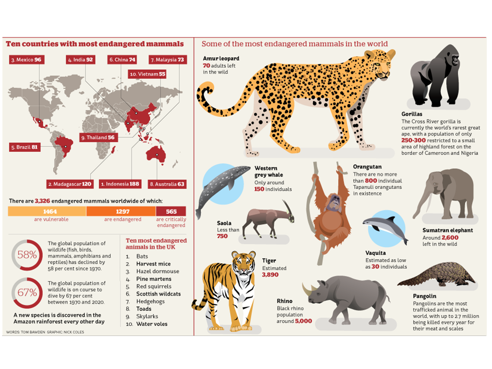 Infographic Endangered species by Nicholas Coles on Dribbble