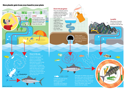 Microplastics in our food illustration infographic