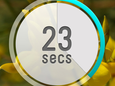 Timer UI