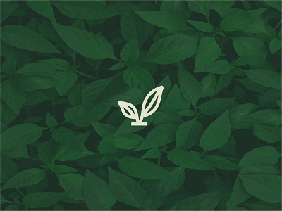 V Leaf/Logo Design brand green icon identity leaf logo mark symbol type typography v logo