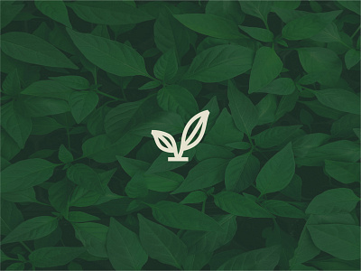 V Leaf/Logo Design