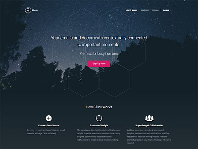 Gluru Landing Page