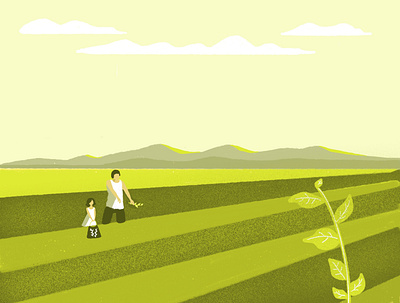 Rice Field Taiwan illustration