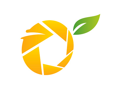 Orange Logo branding design graphic design illustration logo ui ux vector