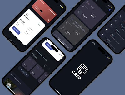 cred mockup on iphone 14 pro.