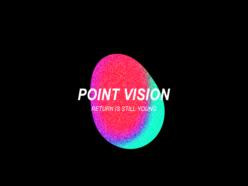 point vision point vision