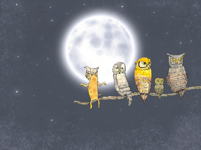 Try Blend Into animals cute dog fun humor illustration moon nature night owl