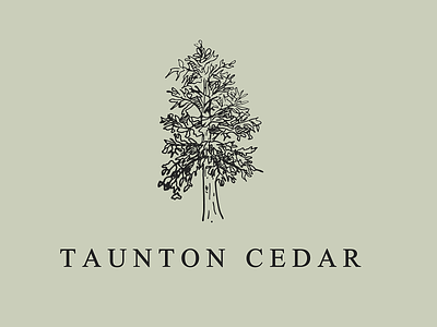 Taunton cedar logo artisan branding crafts illustration logo woodworker