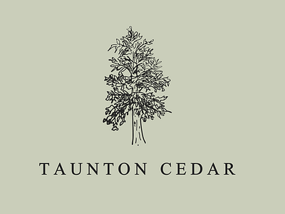 Taunton cedar logo