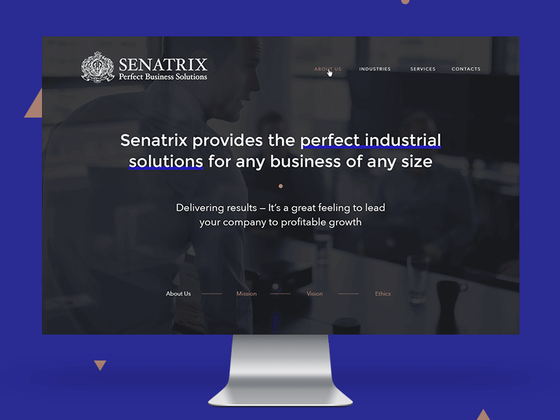 Senatrix design landing marketing site web webdesign webdevelopment