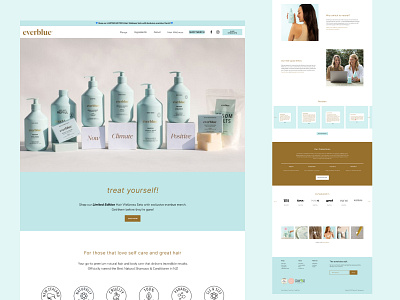 Hair Care Brand Website Design