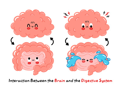 Interaction Between the Brain and the Digestive System brain cartoon character concept cute gut illustration infographic kawaii poster