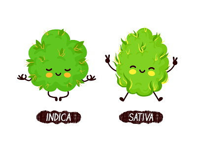 Indica vs sativa buddys 420 buds cannabis cartoon character concept cute energy funny green illustration indica kawaii marijuana medical relax sativa strains vector weed