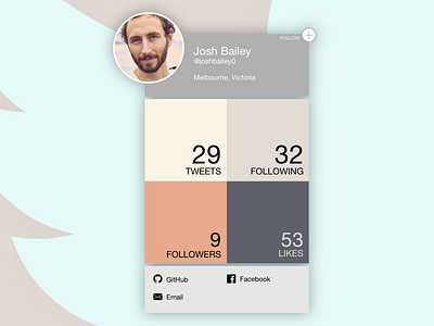 Twitter Profile DailyUI #006