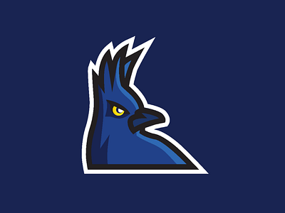 Mountain Jay Bird Sports Logo bird logo bold logo edgy logo logo logo design mountain jay sports bird logo sports logo sports mascot