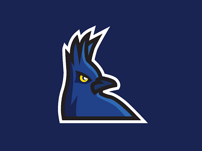 Mountain Jay Bird Sports Logo