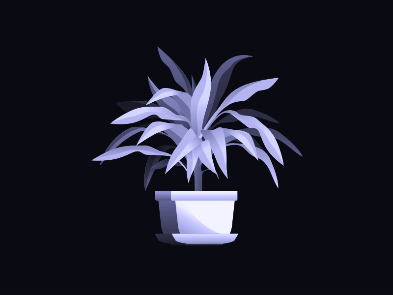 Plant still life gray purple illustration black and white grayscale tree nature desk leaves gradient plant