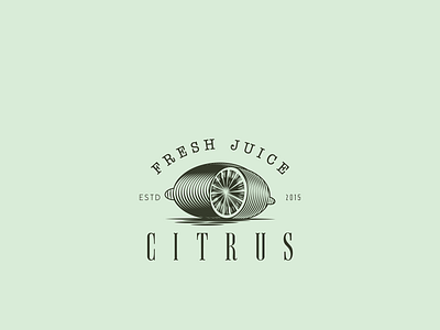 Citrus branding citrus design food fruit grid system illustration juice lemon lemonade logo mark monogram typography vector