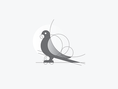 Pigeon bird icon bird illustration bird logo birds branding design flat design grid grid system icon illustration logo mark monogram pigeon pigeon icon pigeon illustration pigeon logo pigeon mark pigeons