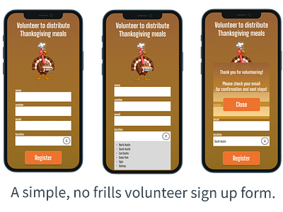 Volunteer Form