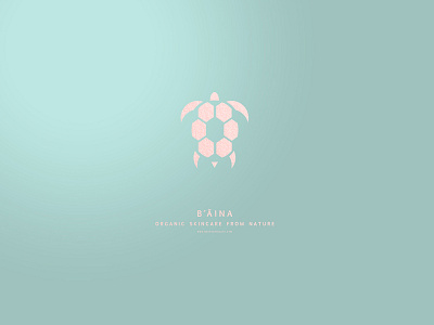 Baina Logo adobe illustrator branding cosmetics design icon illustration logo vector