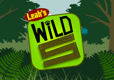 Leah's Wild 5 branding for CBBC's Newsround illustration motion graphics