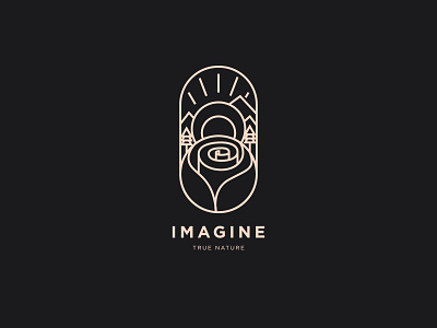 Imagine Branding Logo