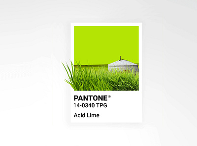 Pantone Acid Lime art branding color color palette design ger grass identity pantone pantone2020 poster summer