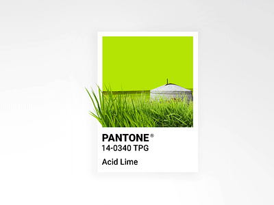 Pantone Acid Lime