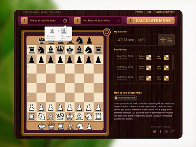 Chess Analytics App chess skeuomorphic web app