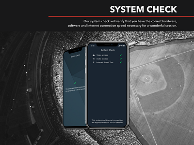 Vidsig: system check