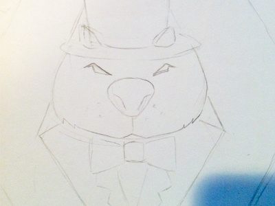 Classy Wombat logo sketch wombat