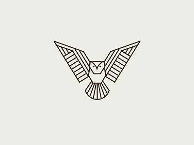 Geometric Owl