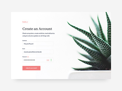 Sign Up Form | 001 card create account form modal shadow sign up succulent ui ux web