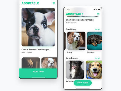 Daily UI Design: Adoptable Mobile app app design clean color concept design inspiration interface material design mobile mockup product design typography ui user experience user interface ux web
