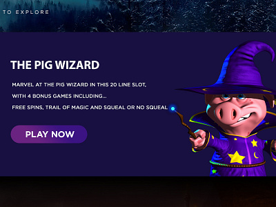 The Pig Wizard branding pig web design wizard