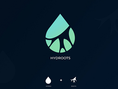 Hydroots logo design branding design digitalart graphicdesign illustraion logo logodesign typogaphy