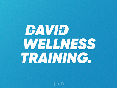 David Wellness Training | Logotype
