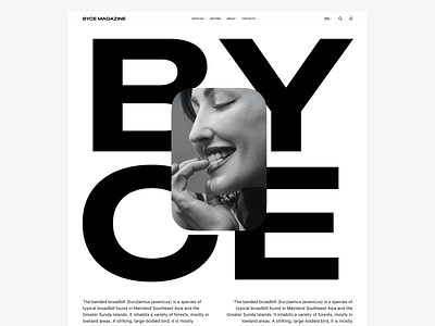 BYCE MAGAZINE SITE branding design graphic design illustration interface logo ui ux