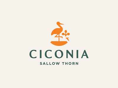 CICONIA berry branding buckthorn green healthy logo mark stork type