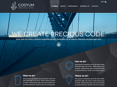 Sneak peek - Final Website for Codyum