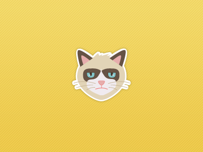 Soft kitty, Warm kitty, Grumpy kitty ;) cat cat eye grupy cat yellow