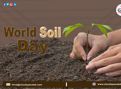 World Soil Day nationalsoilday soil soilday soilday2022 worldsoilday