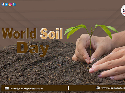 World Soil Day