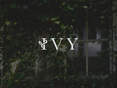 FEEDBACK: Ivy brand identity ivy logo typography wordmark