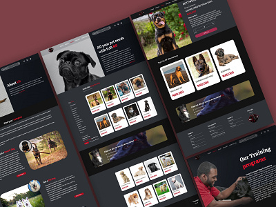 9ja K9 Web Design design ui ux