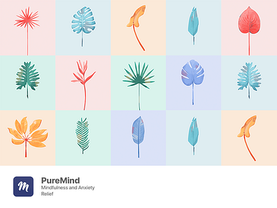 Illustrations | PureMind