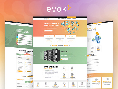 Website Design. EVOK