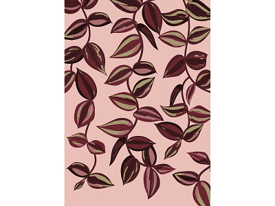 Tradescantia zebrina Illustration/print hanging plant leaves pink