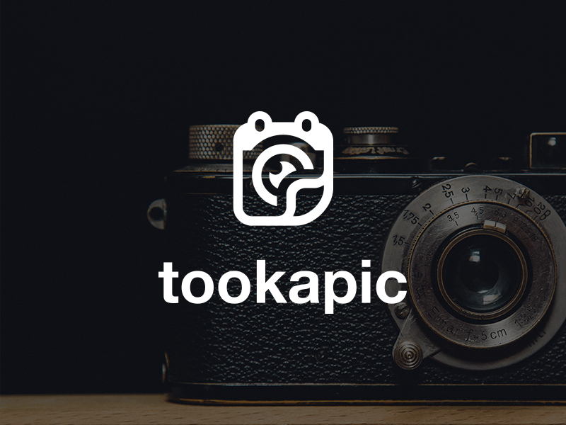 Tookapic logo brand calendar clean corporate flat identity logo logotype photography simple small web